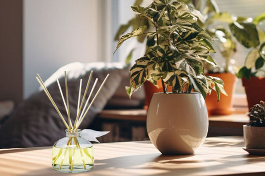 Tropical Paradise: Immerse Your Home with Fruit and Tropical Reed Diffusers