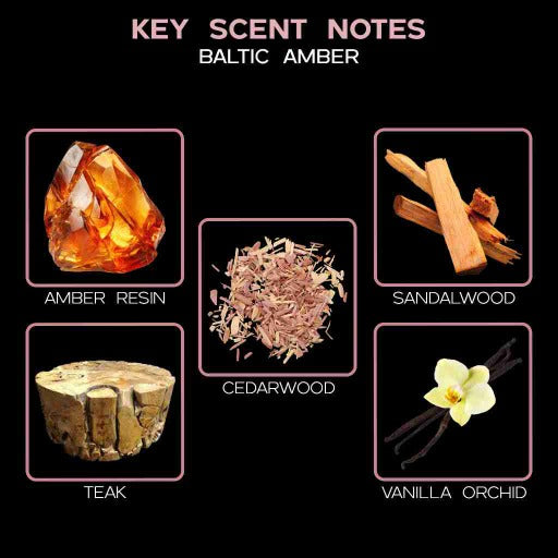 key scent baltic amber ingredients