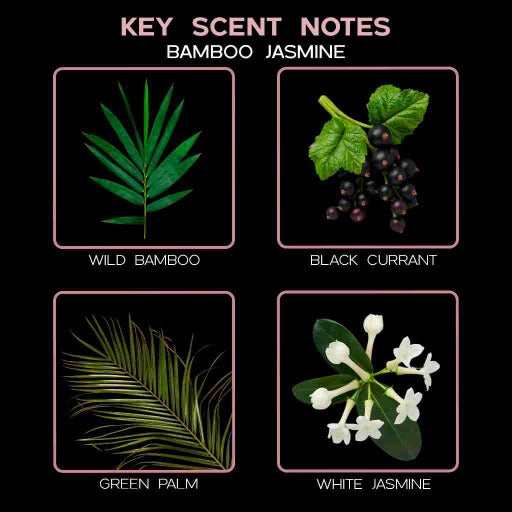  key scent bamboo jasmine ingredients