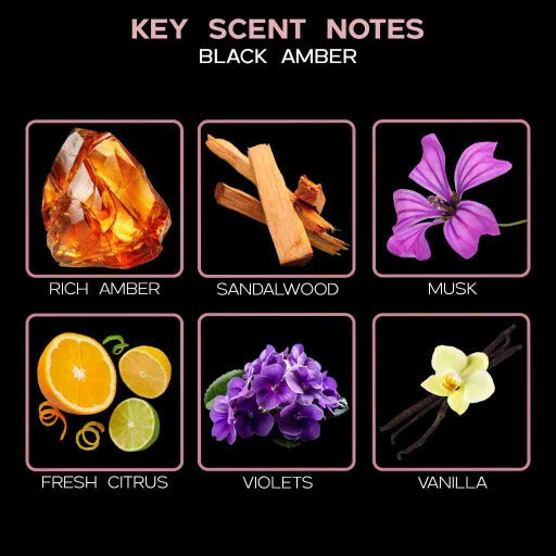 key scent black amber ingredients