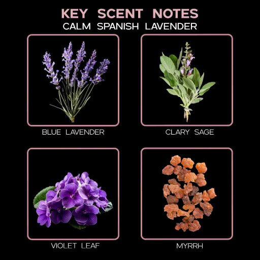key scent calm spanish lavender ingredients