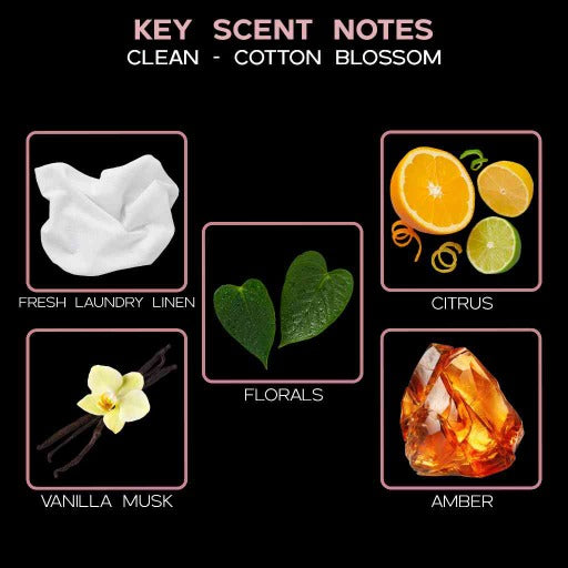 key scent clean cotton blossom ingredients