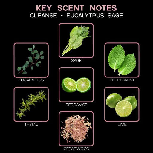 key scent cleanse eucalyptus sage ingredients