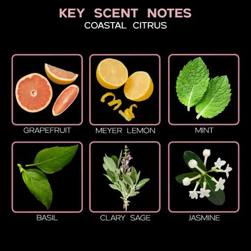 key scent coastal citrus ingredients