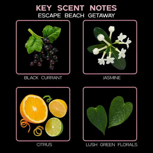 key scent escape beach getaway ingredients
