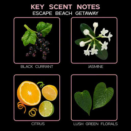 key scent escape beach getaway ingredients