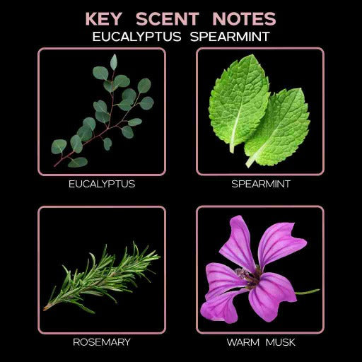 key scent eucalyptus spearmint ingredients