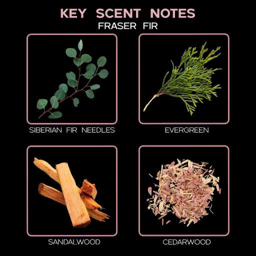 key scent fraser fir ingredients