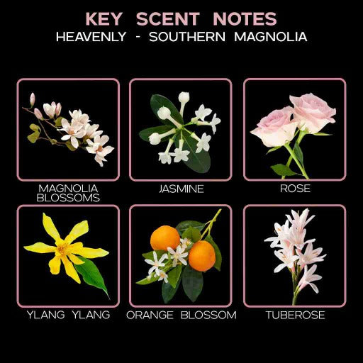 key scent heavelny magnolia ingredients