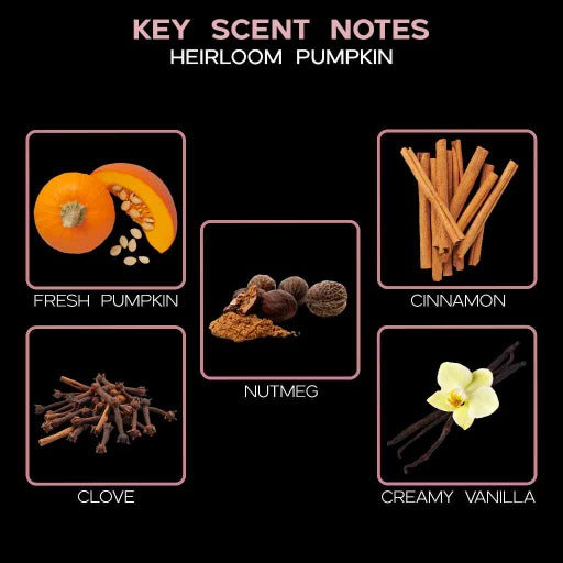 key scent heirloom pumpkin ingredients