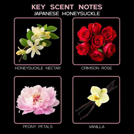 key scent japanese honeysuckle ingredients