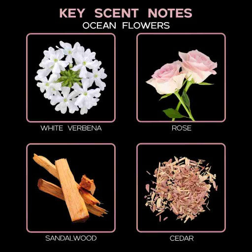 key scent  ocean flowers ingredients