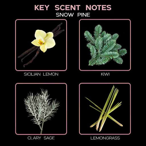 key scent snow pine ingredients