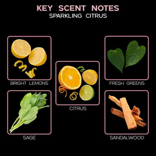 key scent sparkling citrus ingredients