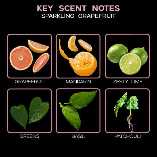 Sparkling Grapefruit Reed Diffuser Refill  ingredients