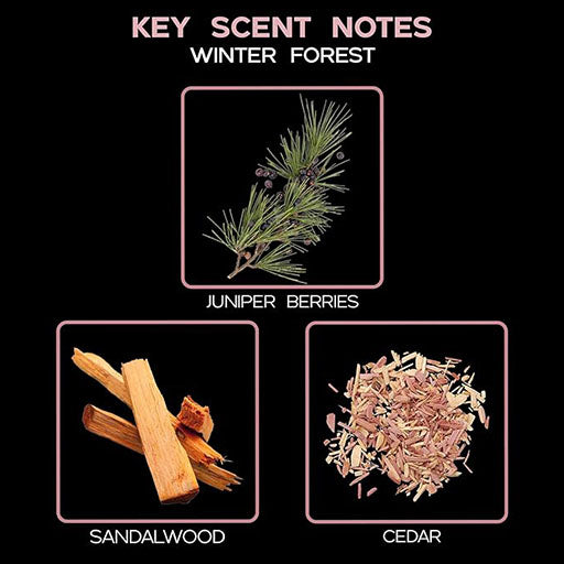 Winter Forest Pine Reed Diffuser (with Wooden Coaster)