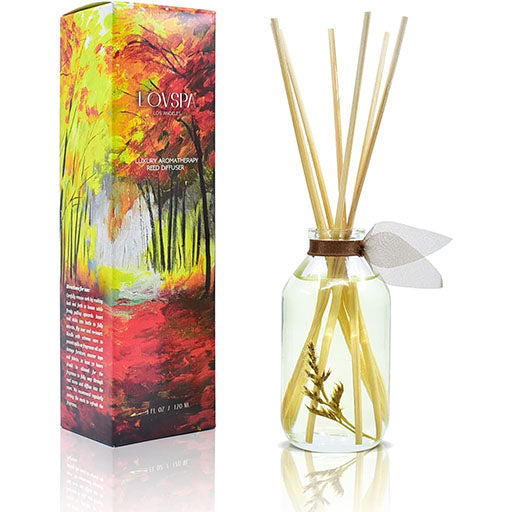 Cashmere Woods Reed Diffuser