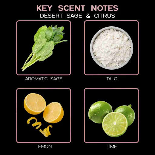  key scent desert sage citrus ingredients