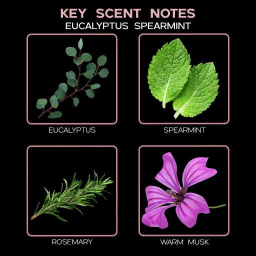  key scent eucalyptus spearmint ingredients