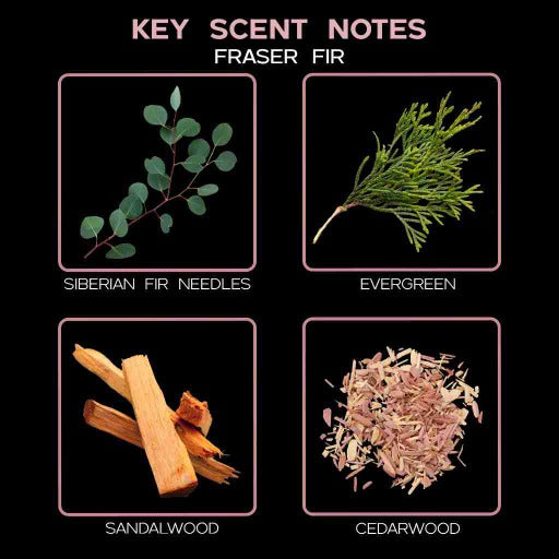  key scent fraser fir ingredients