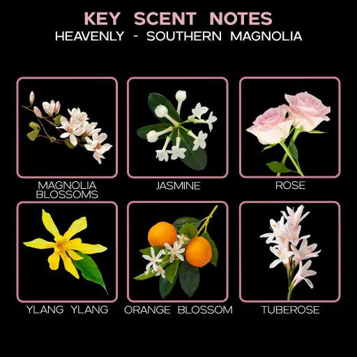  key scent heavelny magnolia ingredients