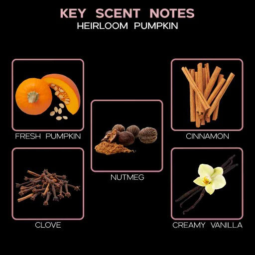  key scent heirloom pumpkin ingredients