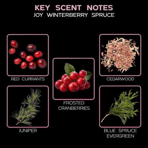 key scent joy winterberry spruce ingredients