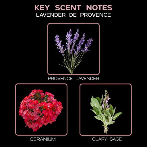 key scent lavender de province ingredients