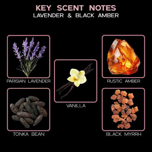 key scent lavender black amber ingredients