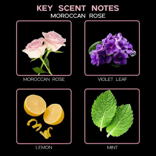key scent  moroccan rose ingredients