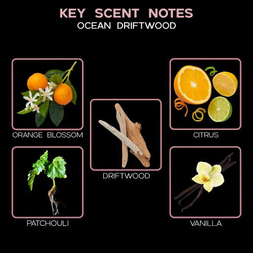 key scent ocean driftwood ingredients