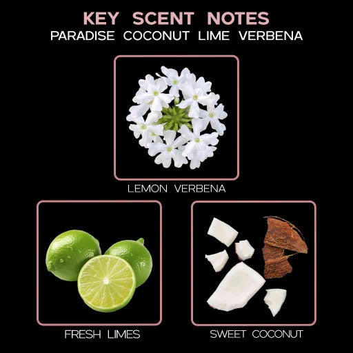 key scent paradise coconut lime ingredients