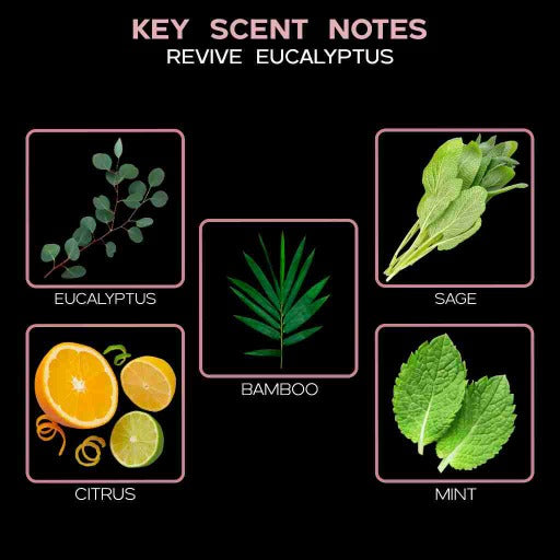 key scent  revive eucalyptus ingredients