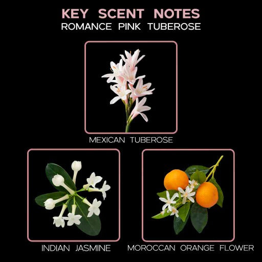 key scent  romance pink tuberose ingredients