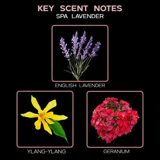 key scent  spa lavender ingredients