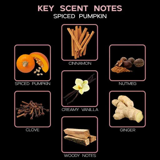 key scent  spiced pumpkin ingredients