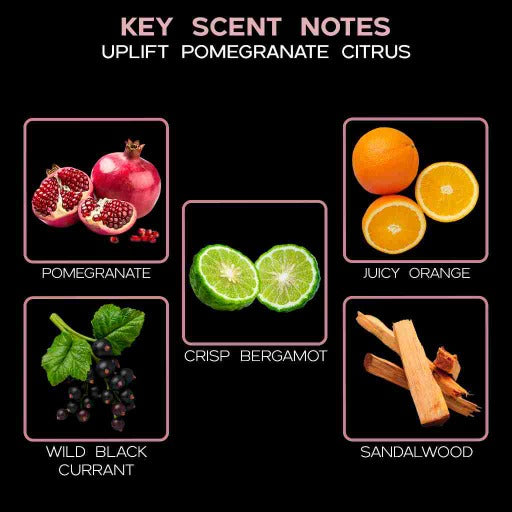 UPLIFT Pomegranate Citrus Reed Diffuser ingredients