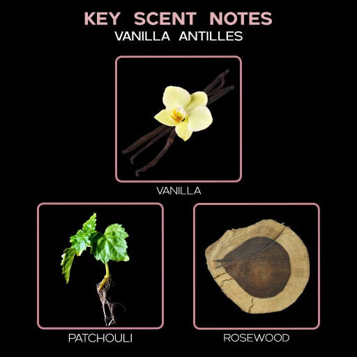key scent  vanilla antilles ingredients