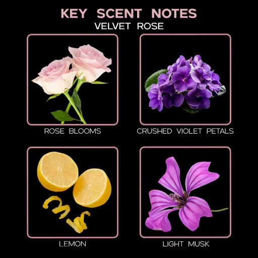 key scent  velvet rose ingredients