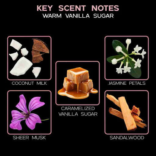 key scent  warm vanilla sugar ingredients