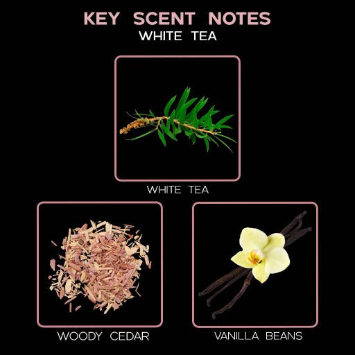 key scent white tea ingredients