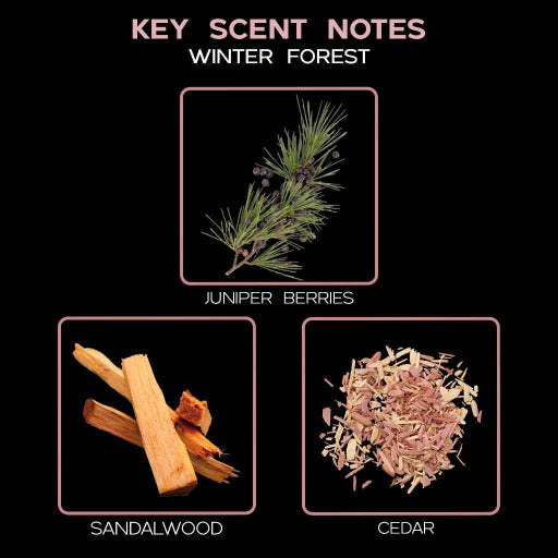 key scent  winter forest ingredients