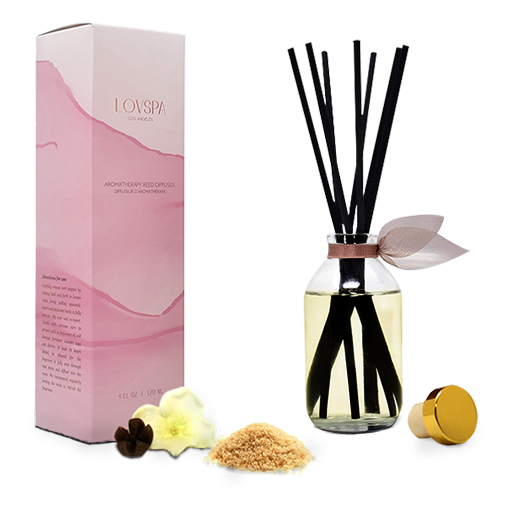 Warm Vanilla Sugar Reed Diffuser Front no BG